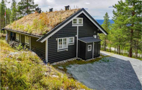 Beautiful home in Rendalen w/ 3 Bedrooms, Rendalen